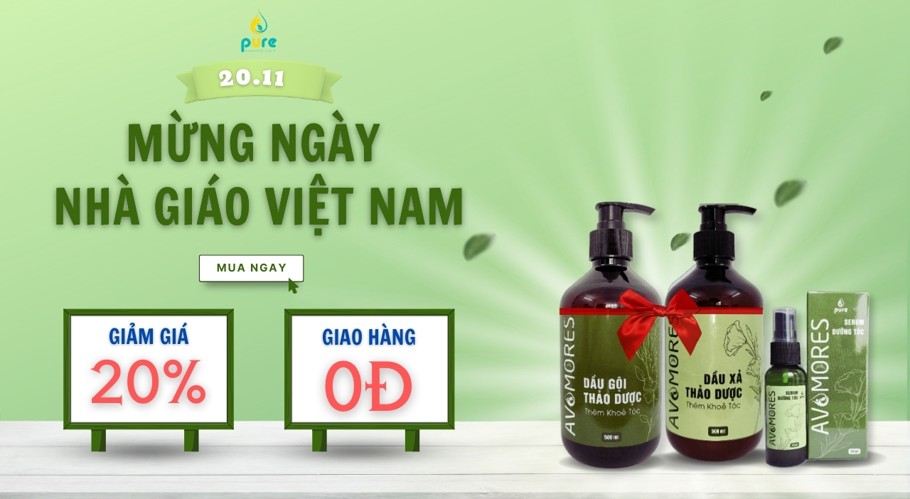Vì Sao Avamores Là Món Quà Phù Hợp Cho Ngày 20-11?