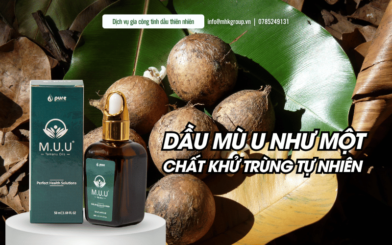 Vì sao bạn nên có dầu mù u M.U.U trong nhà?