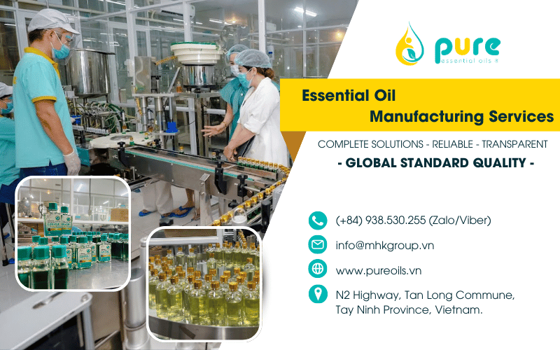 Cajeput Essential Oil OEM Pricing (2025): All-inclusive Quote & GMP Process