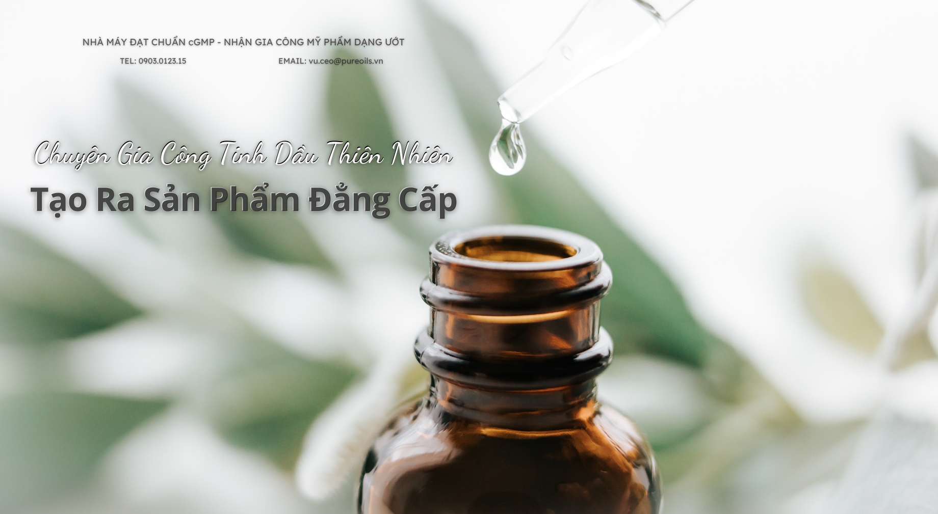 Chuyên Gia Công Tinh Dầu Thiên Nhiên – Tạo Ra Sản Phẩm Đẳng Cấp