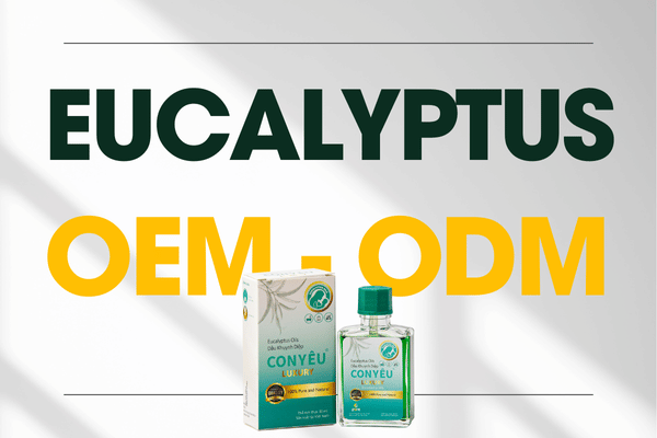 OEM – ODM Eucalyptus oil manufacturing for your own brand.